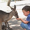 צילום: מירי לשם-פלאי