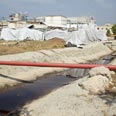 הנזק שהכיל רעלים. מה קרה בימי הגשם? באדיבות "כחול וירוק", ועד פעולה למען עתלית