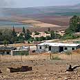 צילום: אפי שריר