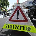 "הסתכלה ימינה ושמאלה". ארכיון צילום: ירון ברנר