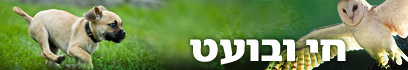 צילום: Jupiter