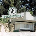 צילום: נמרוד גליקמן