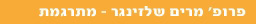 שאלת מחקר