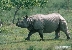 צילום: WWF-Canon