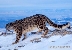 צילום: WWF