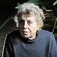 צילום: טל שחר
