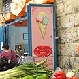 צילום: רוית נאור