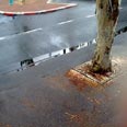 גשם קרית חיים (צילום: שרון דרוקמן)