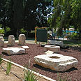 צילום: משה שקולניק