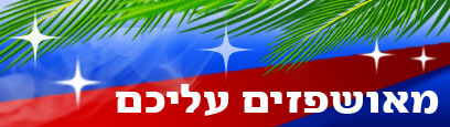 חדשות תוכן ועדכונים 24 שעות - Ynet