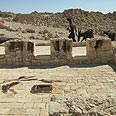 מריחות צבע בעבדת צילום: אורית בורטניק , רשות הטבע והגנים