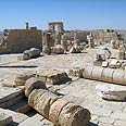 ונדליזם עבדת גן לאומי השחתה (צילום: אורית בורטניק , רשות הטבע והגנים)