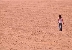 צילום: צח גולדברגר
