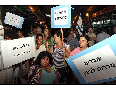 צילום: עופר עמרם