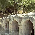 פארק קנדה צילום: דפנה טלמון