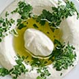 צילום: עמית שאבי