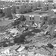 בתי העיר ימית לאחר הריסתם צילום: לע"מ