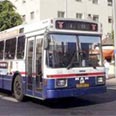 צילום: לע"מ