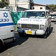 "תופעת החאפרים מתרחבת" (צילום אילוסטרציה) צילום: שאול גולן