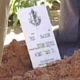 חלקת הקבר הטרייה של בני אברהם צילום: ערוץ 10