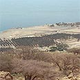 הנוף הנשקף מקיבוץ עין גדי. 