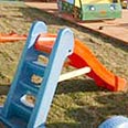 אילוסטרציה צילום: צביקה טישלר