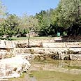 שמורת הטבע עין חמד הסמוכה לירושלים