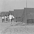עולים חדשים בפרדס חנה, 1949.