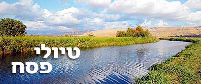 צילום: אלי אליאס