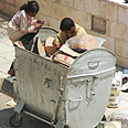 חיפוש אחר מזון