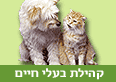 צילום: סי די בנק