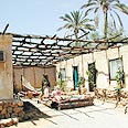 כפר הנוקדים. בסיס מצוין לטיולי מדבר צילום: יגאל צור