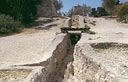 צילום: לע"מ