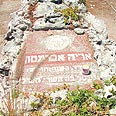 קבר אריה אברמסון. "אני הרגתי את השניים" צילום: יגאל צור