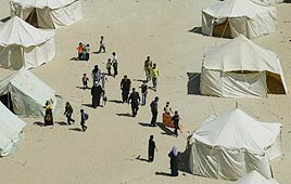 אוהלים בהם משתכנים הפליטים מרפיח