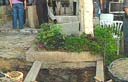 קברה של שמר (צילום: ערוץ 1)