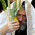 מצוות ארבעת המינים מצוות ארבעת המינים