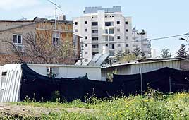 צילום: שאול גולן