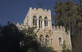 צילום: רון פלד צילום: רון פלד