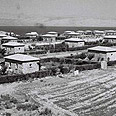 כפר חיטים, 1946