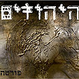 מספק את הסחורה עטיפת האלבום