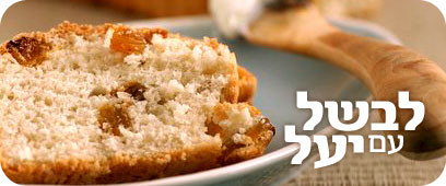 צילום: אסף רונן