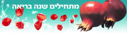 צילום: ויז'ואל/פוטוס