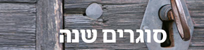 צילום: ויז'ואל/פוטוס