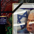 צילום: אי אף פי