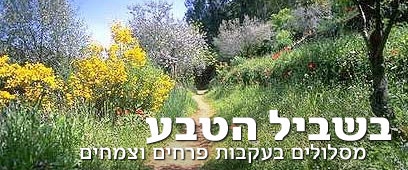 צילום: יעל אילן, לע"מ