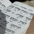 צילום: גבי מנשה