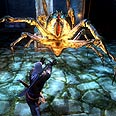 The Witcher 