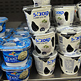 צילום: בן קלמר
