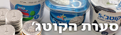 צילום: שאול גולן